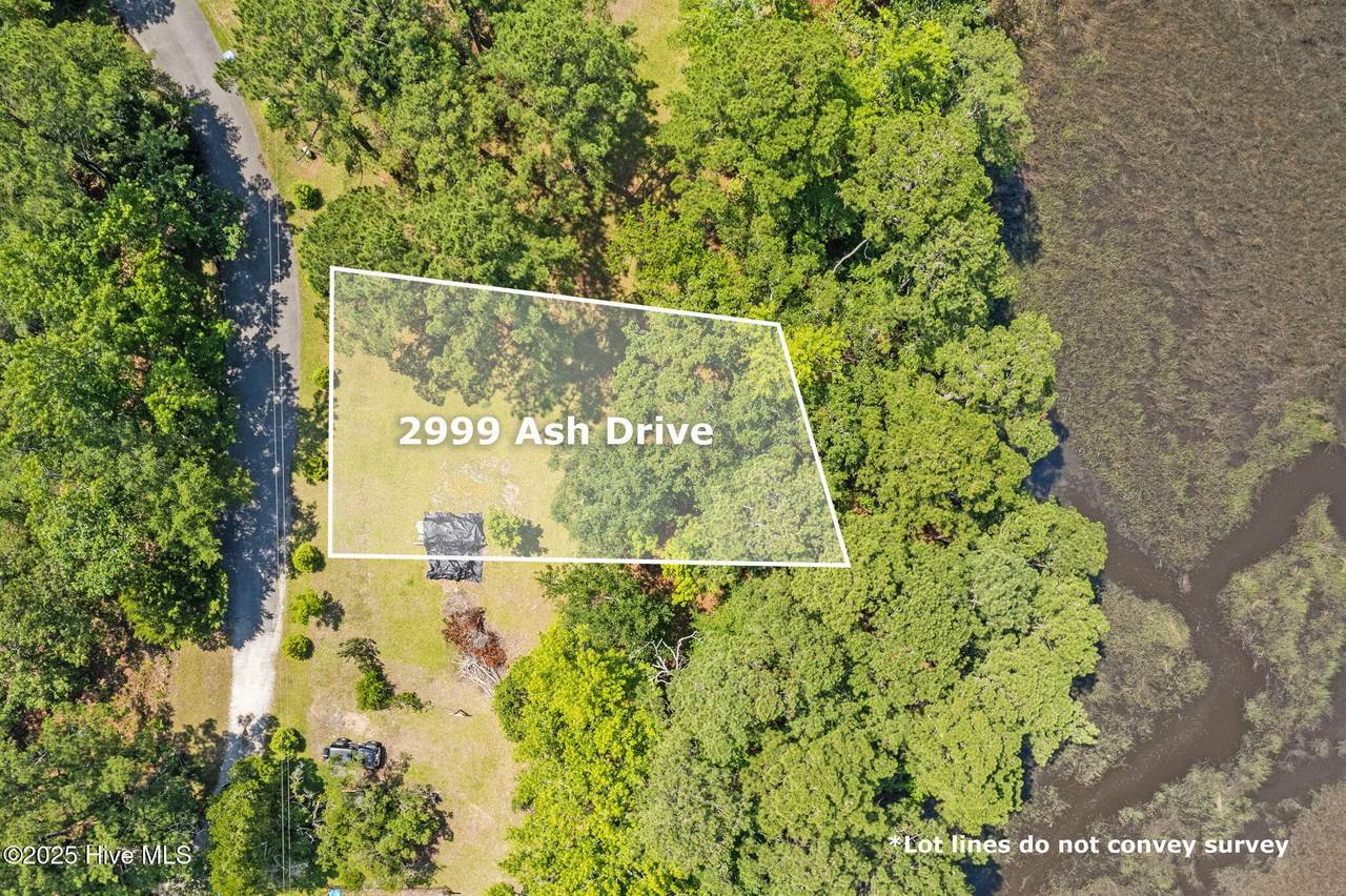 2999 Ash Drive - Photo 1