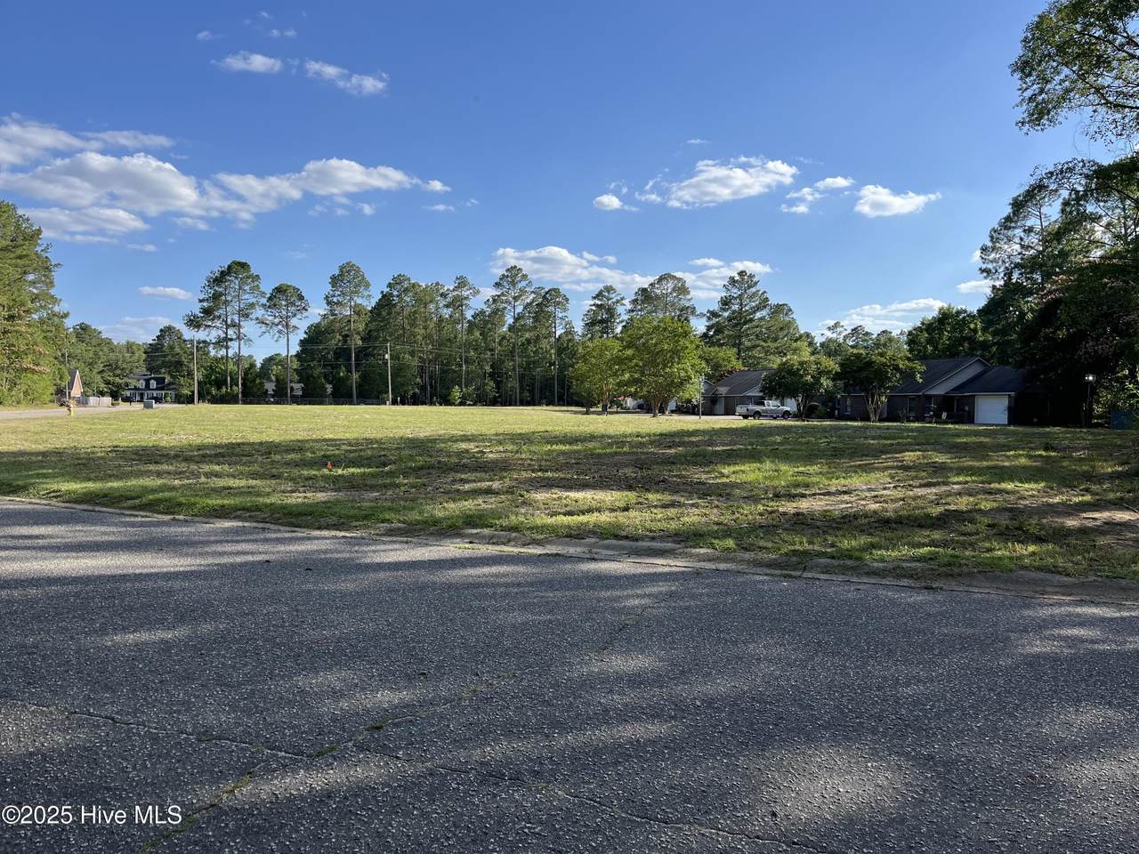 Tbd Dundee Drive - Photo 1