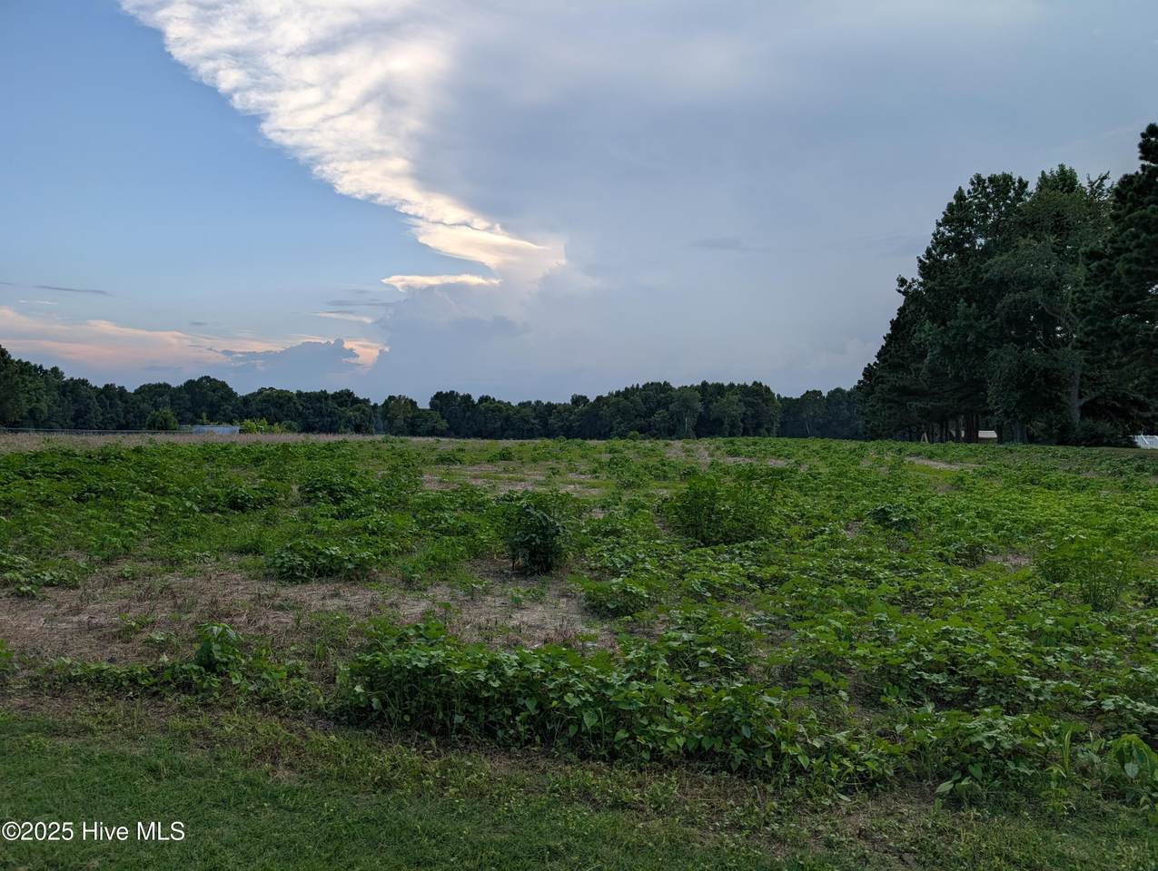 0 Nc 58 Highway - Photo 1