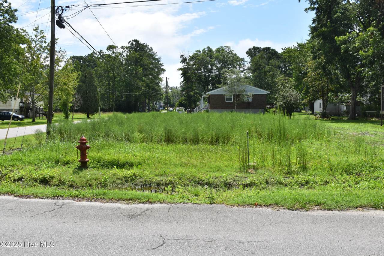 0 Latham Cedar Street - Photo 1