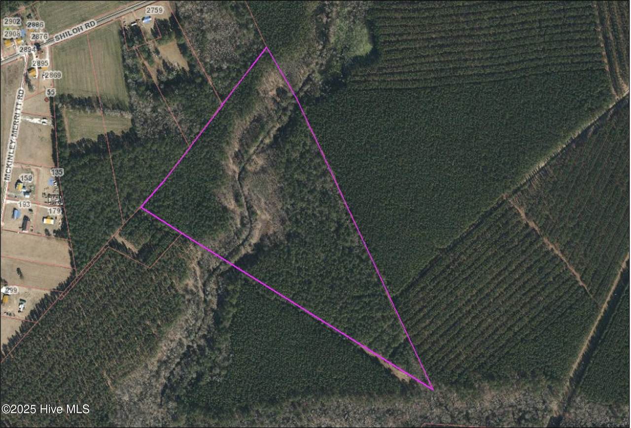 0 Shiloh Road - Photo 1