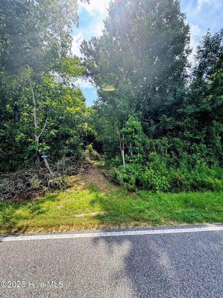 0000 Snowden Road - Photo 1