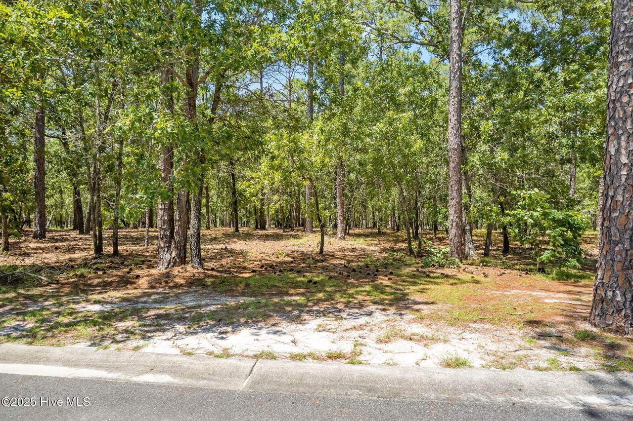 635 Theodora Crossing - Photo 1