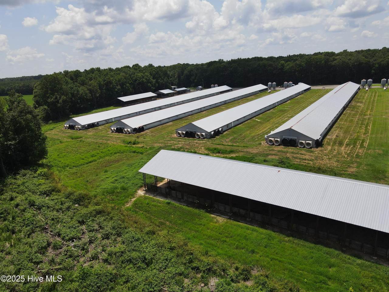 Tbd Woodrow School Road - Photo 1