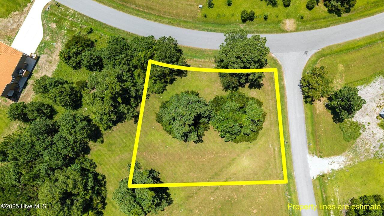 6000 Dolphin Road - Photo 1