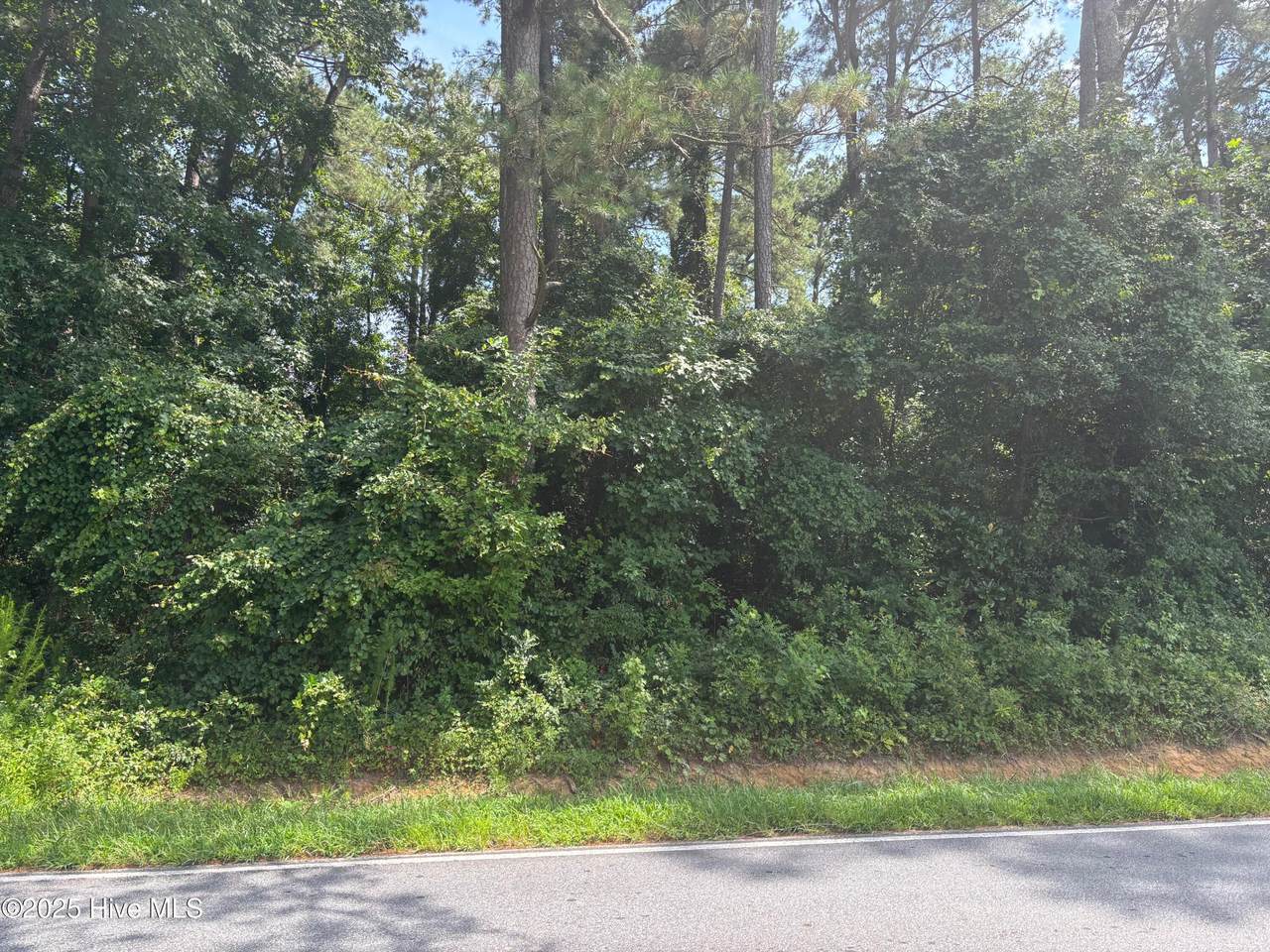 6463 Speights Bridge Road - Photo 1