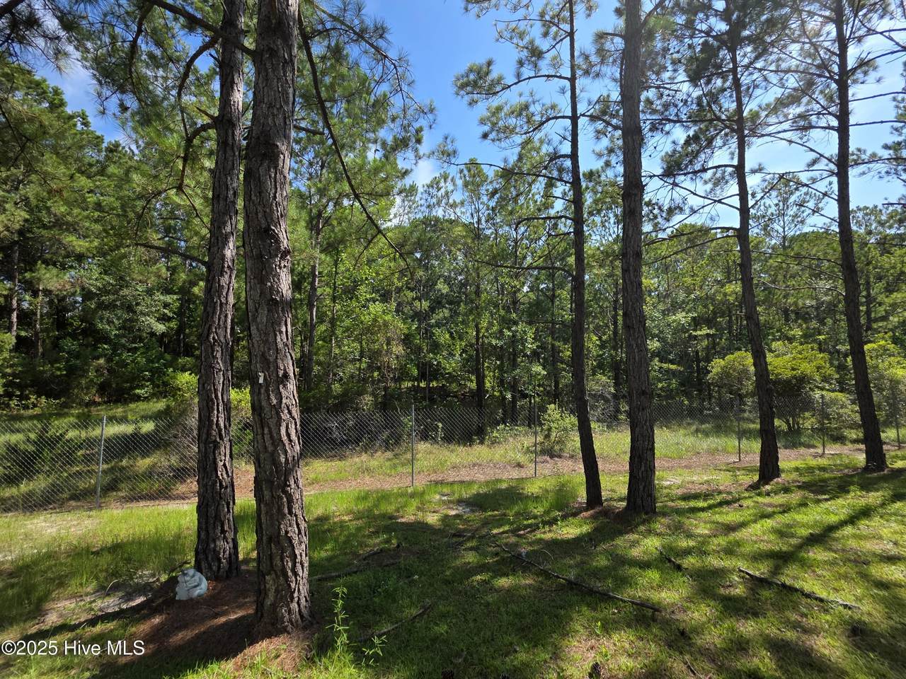 2183a Retreat Street - Photo 1