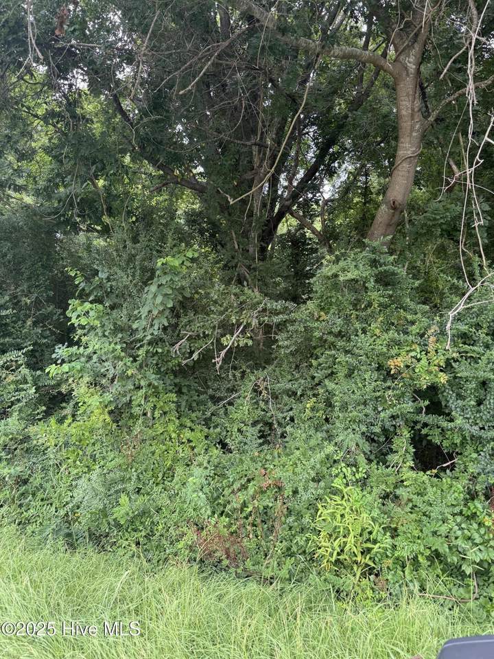 185 Sawyer Town Road - Photo 1