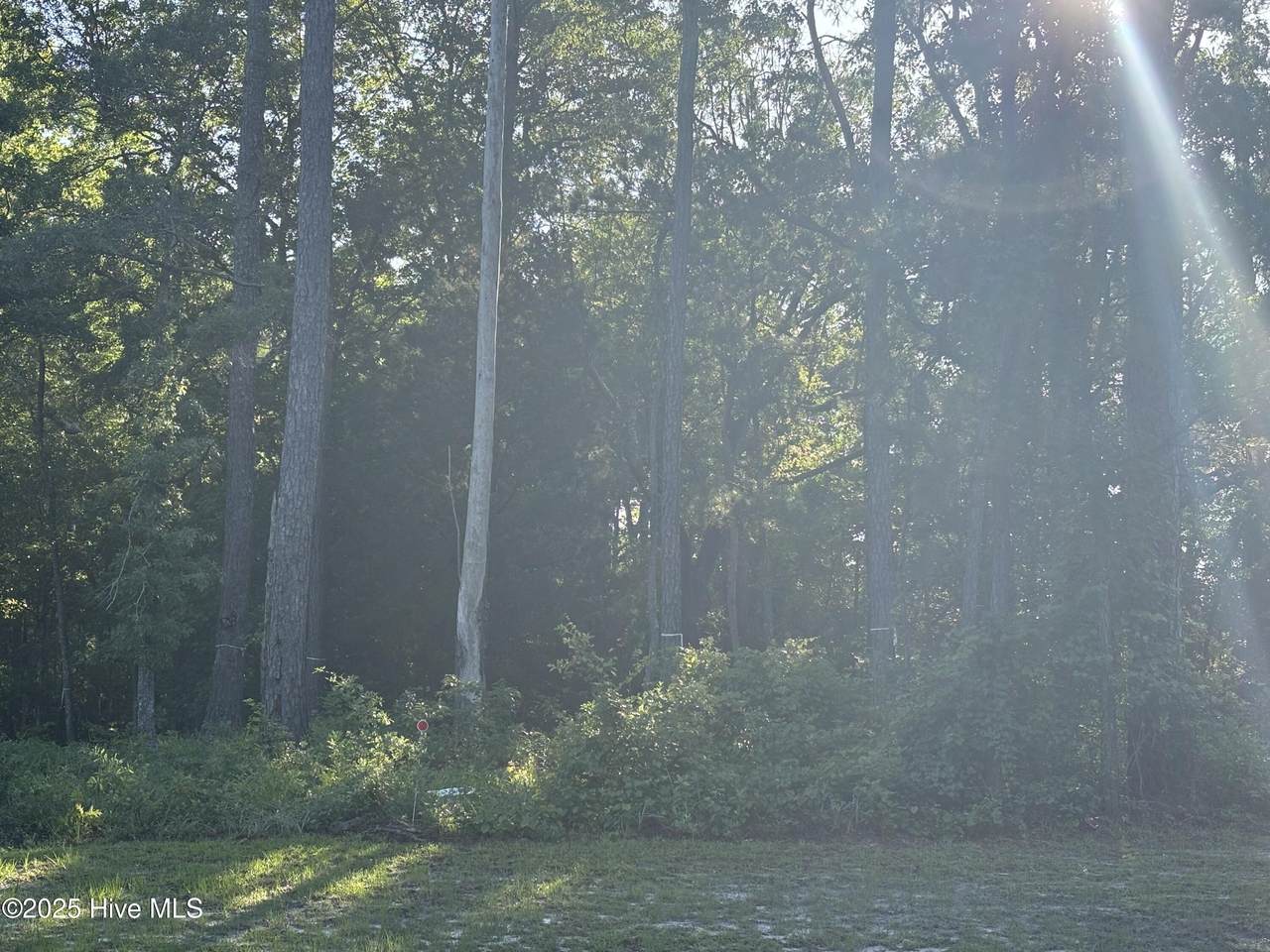 996 Ashburton Road - Photo 1