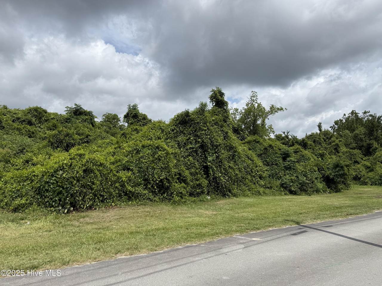 1009 Bloomfield Street - Photo 1