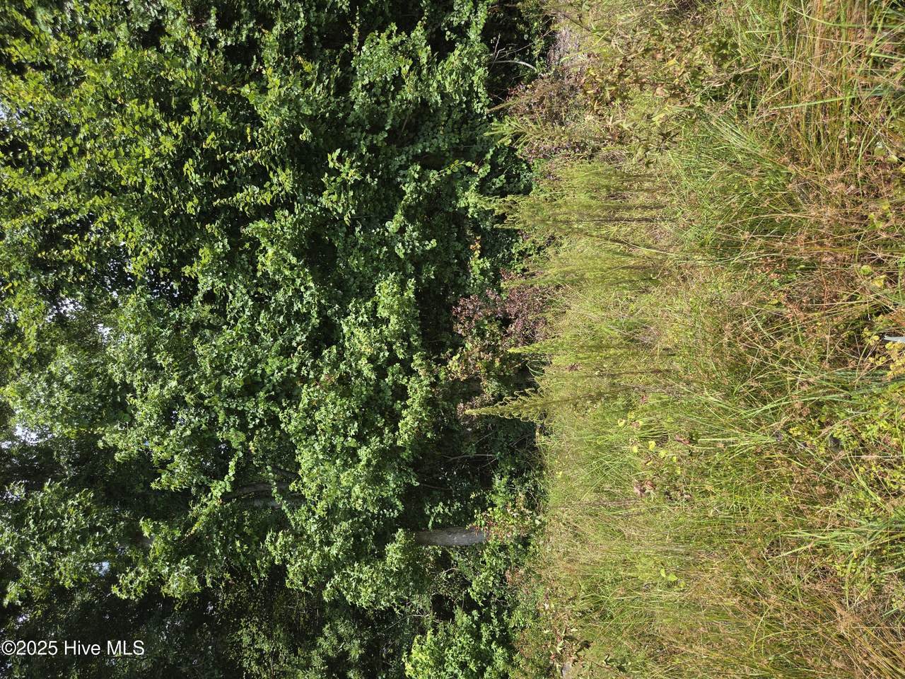 0 Chapman Drive-Lots 19 & 20 Drive - Photo 1