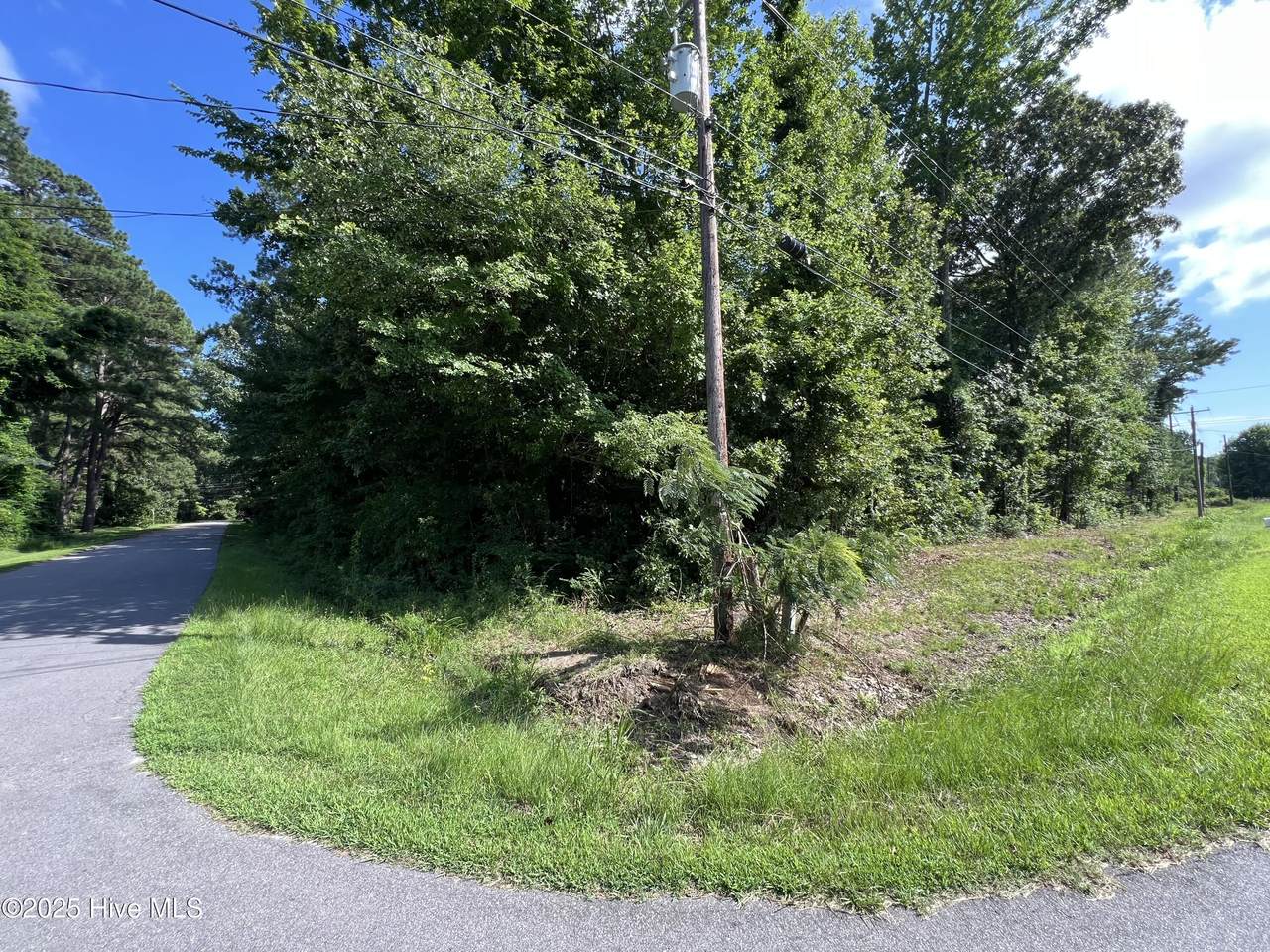 301 Colony Drive - Photo 1