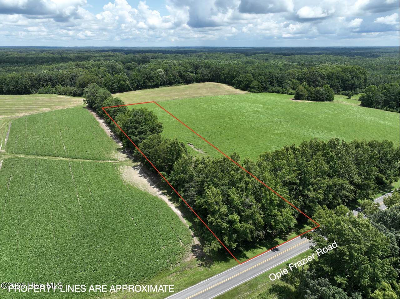 123 Opie Frazier Road - Photo 1