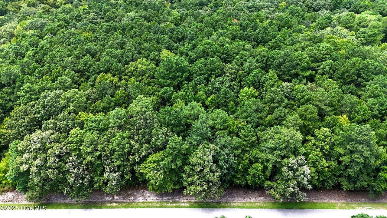 Tbd Boat Ramp Road - Photo 1