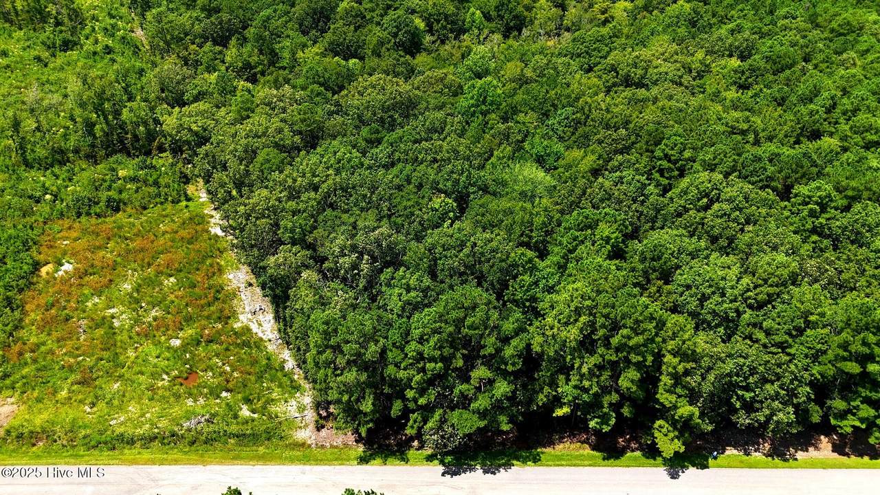 Tbd Boat Ramp Road - Photo 1