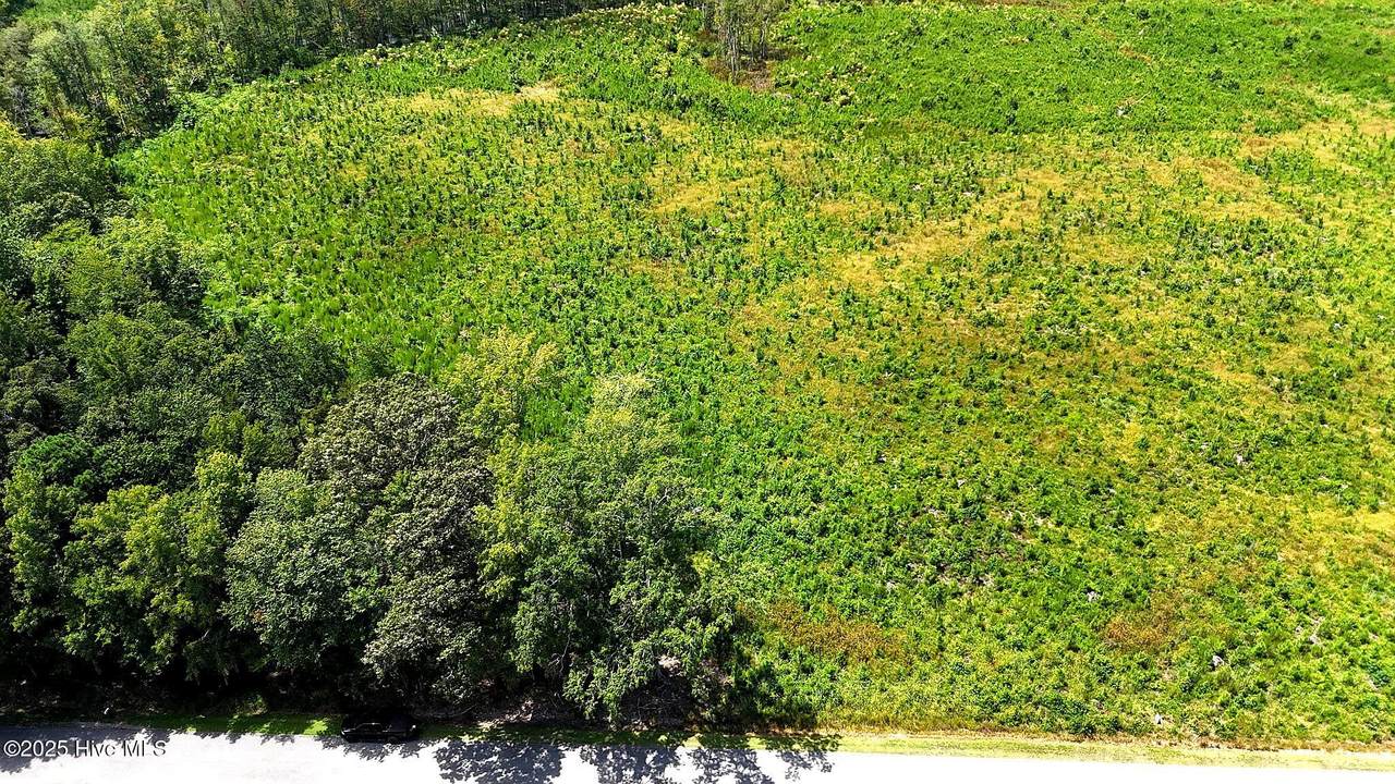 Tbd Cove Road - Photo 1