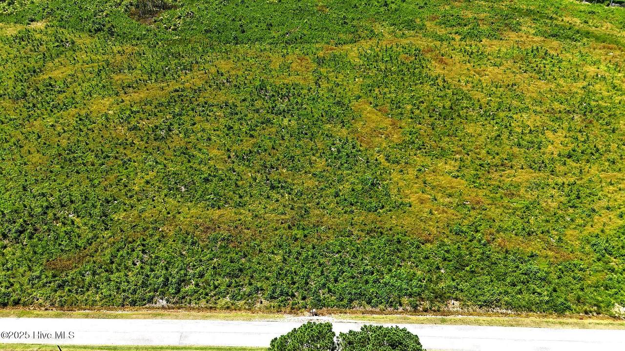 Tbd Cove Road - Photo 1