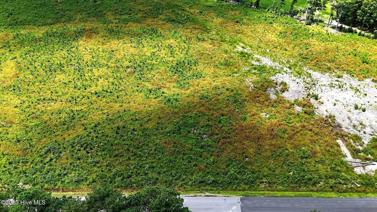 Tbd Cove Road - Photo 1