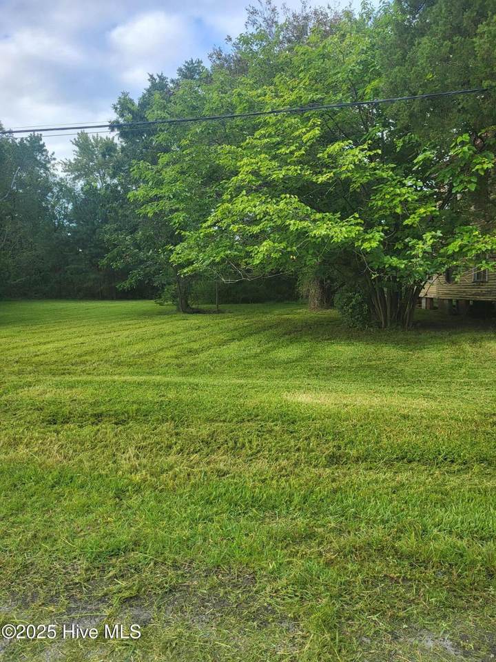 1 Lot N/S Pungo Parcel #29832 Street - Photo 1