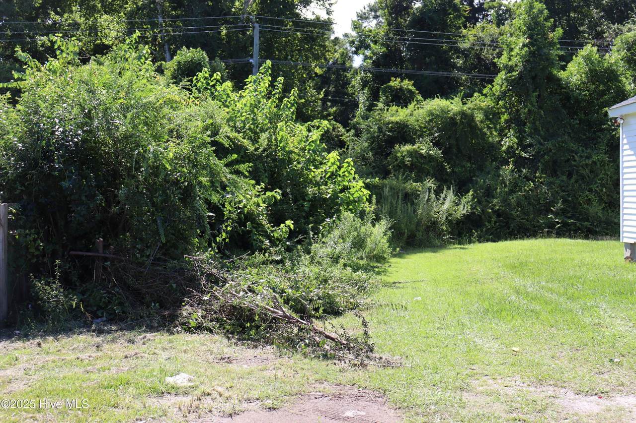 421 Evans Street - Photo 1