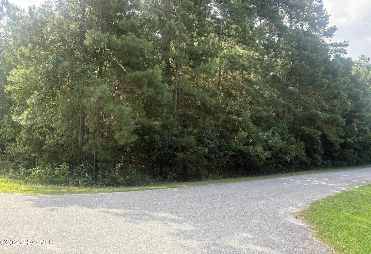 801 Elmwood Court - Photo 1