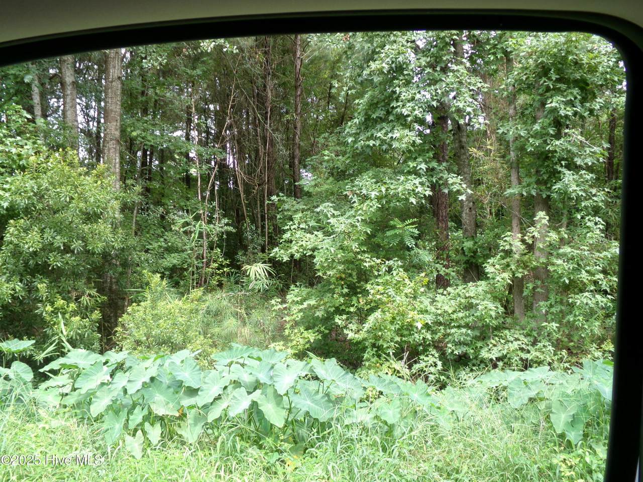 Lot 15 Near 132 Scott Circle - Photo 1