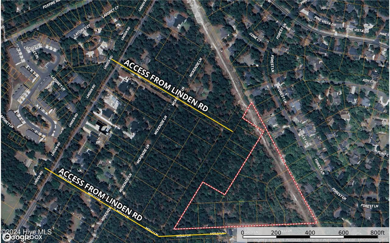 Tdb Mollie Lane - Photo 1