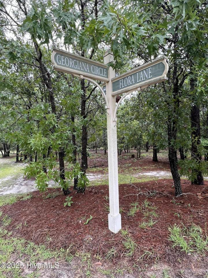 3022 Georgiana Circle - Photo 1