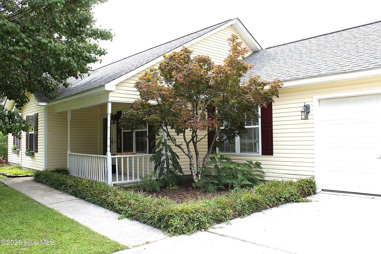 209 Quarterhorse Lane - Photo 1