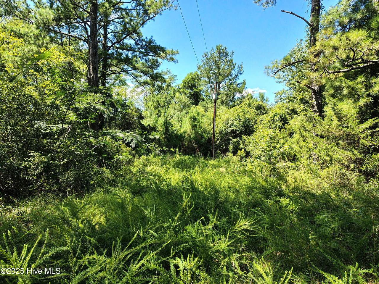 498 Poyners Road - Photo 1