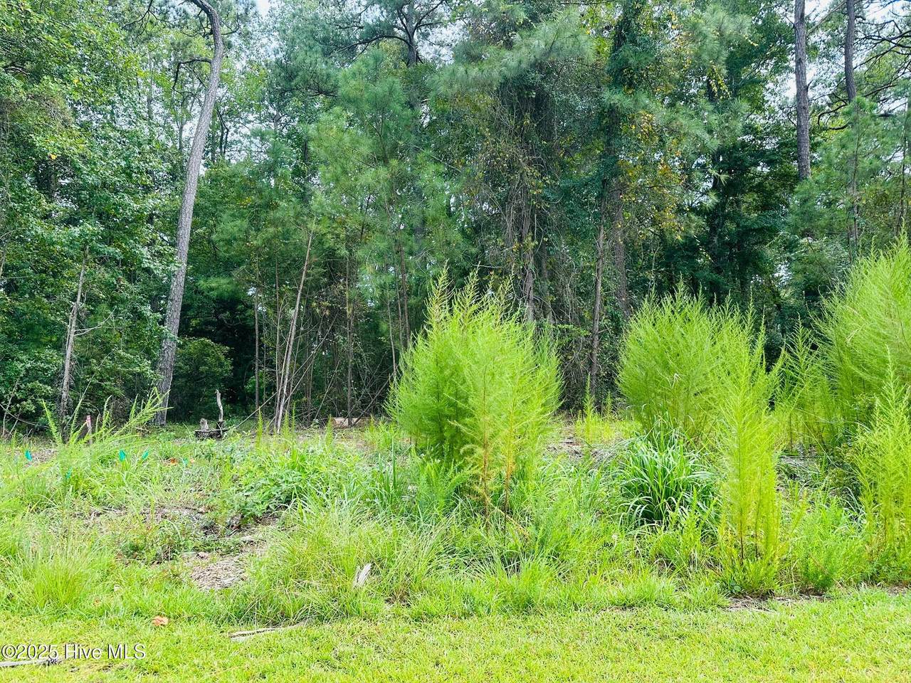 6075 Ocean Isle Palms Way - Photo 1