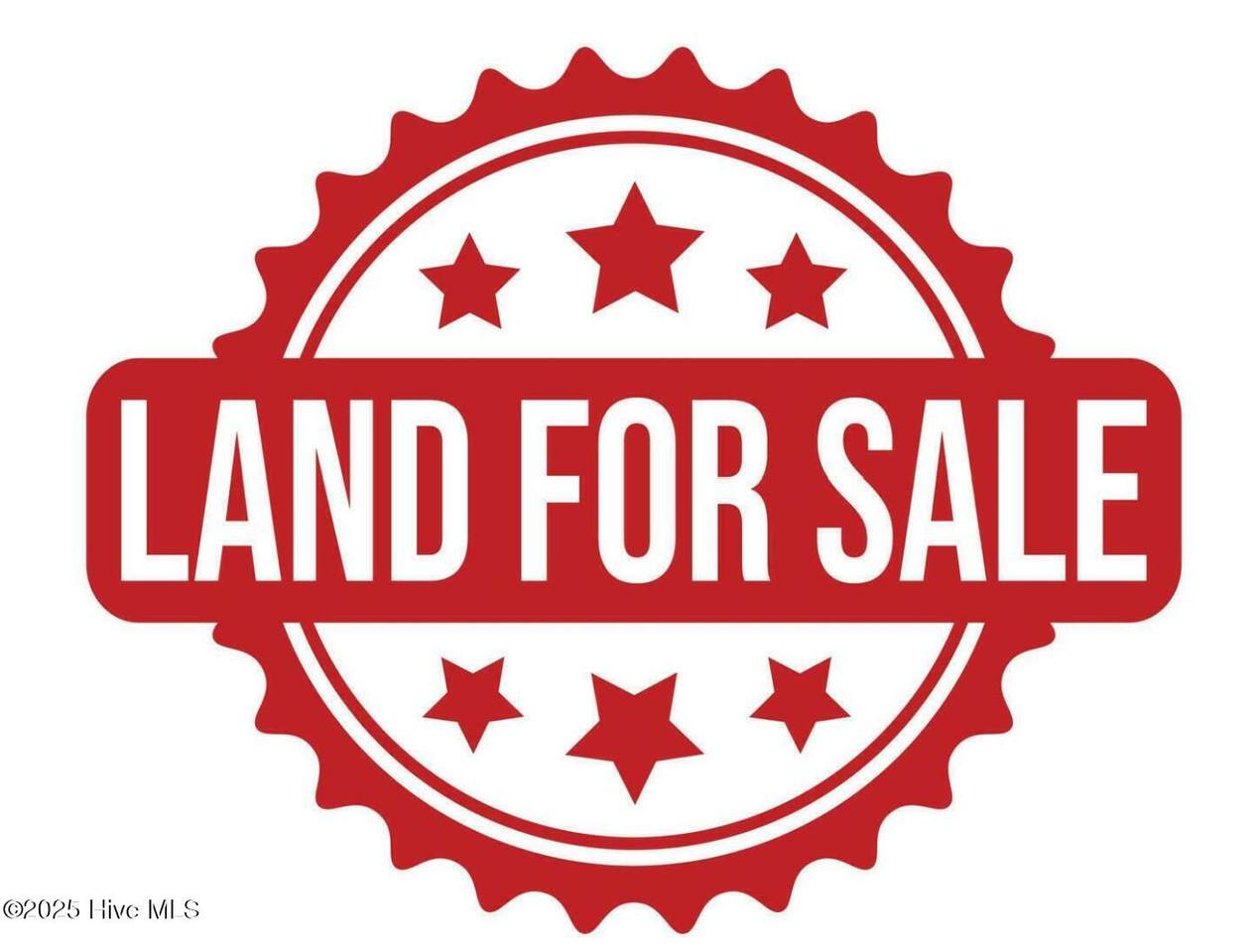 Tbd Old Wilson Road - Photo 1