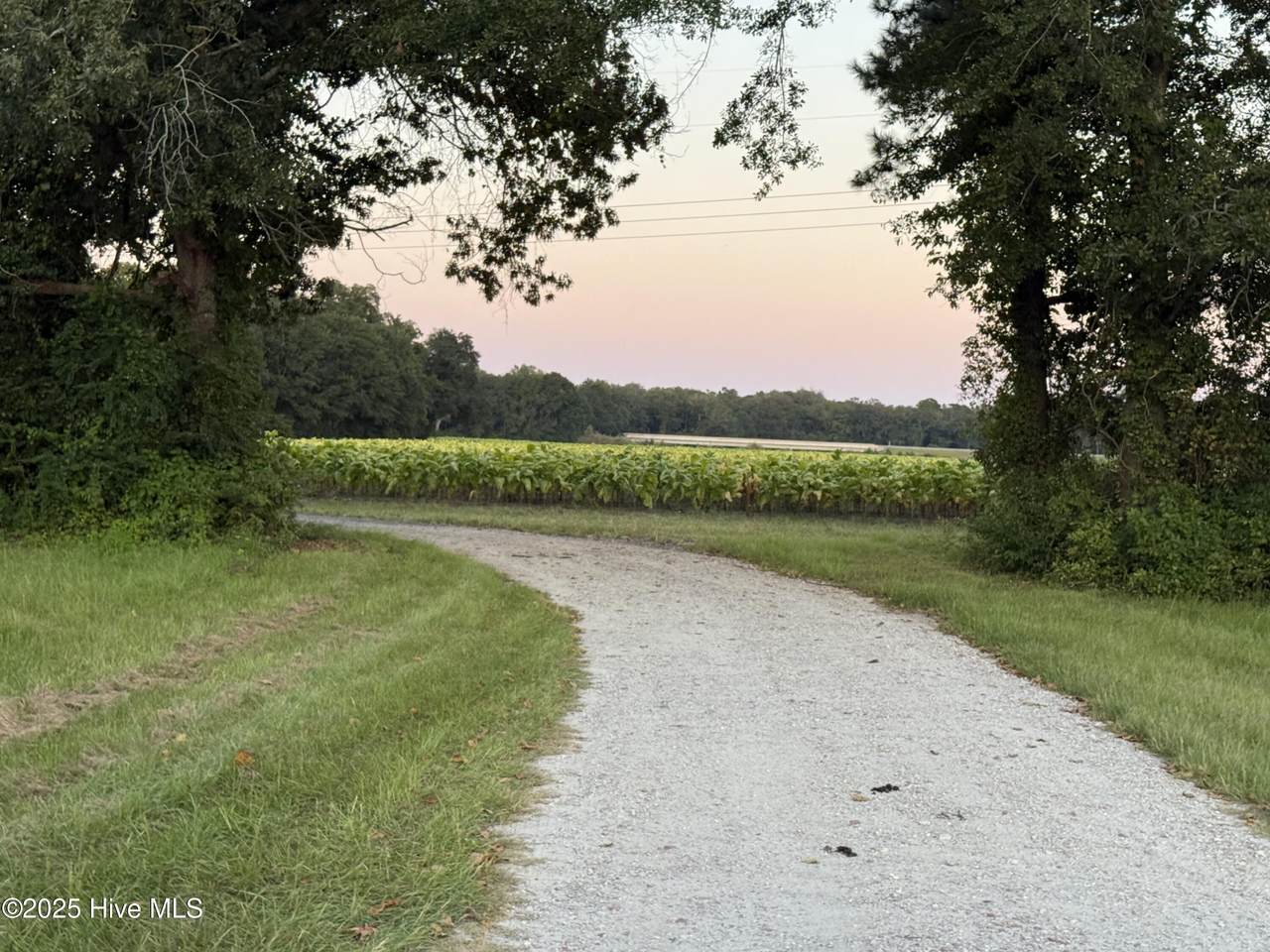 3591 Off Sr 1337 On River - Photo 1