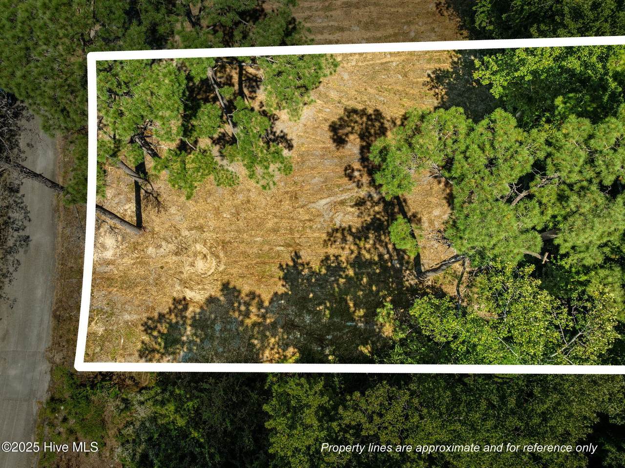 124 Jupiter Trail - Photo 1