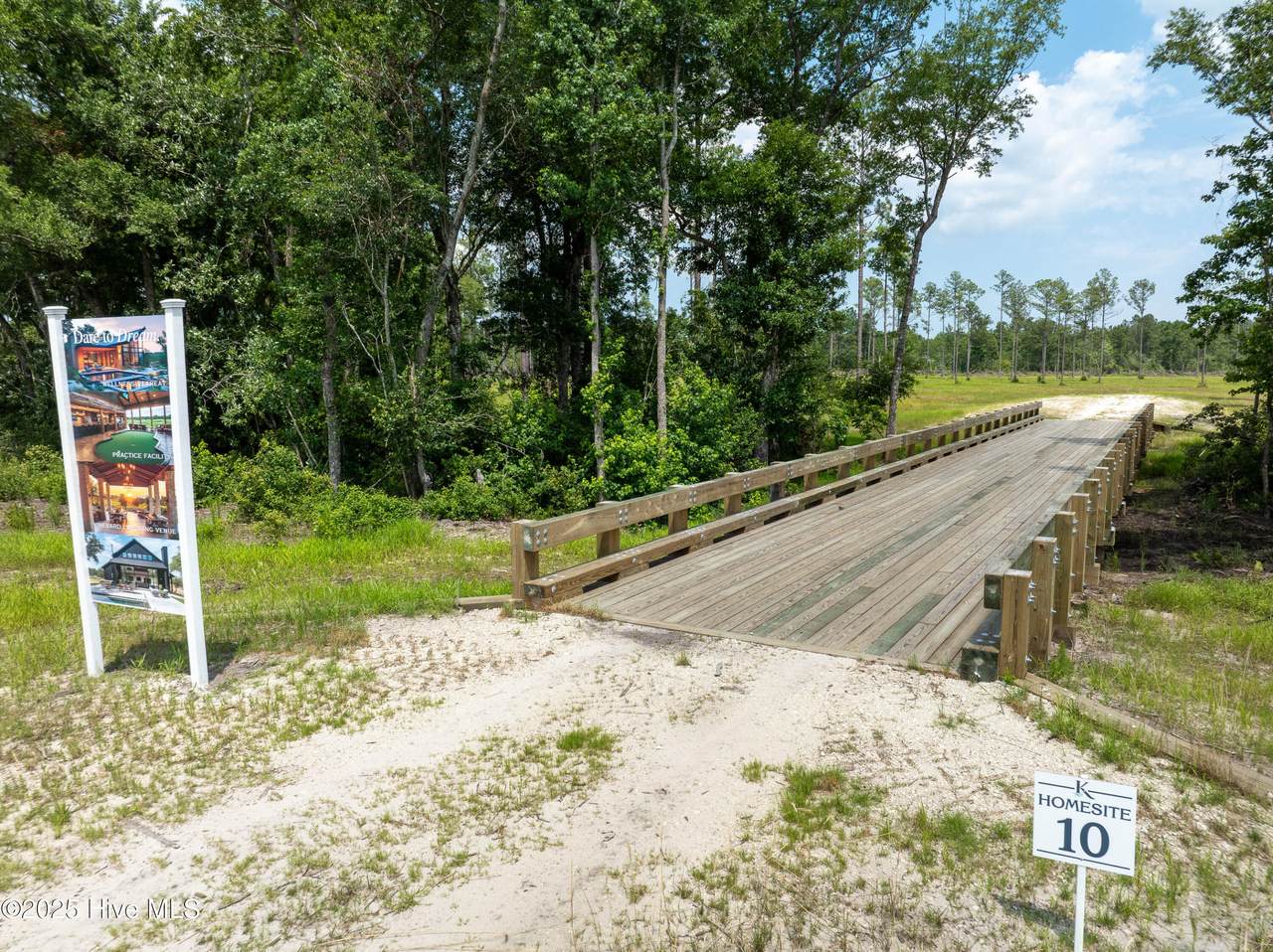 10 Kingbird - Photo 1