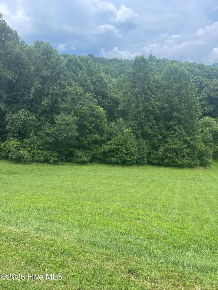 Lot 22c Ash Branch Circle - Photo 1