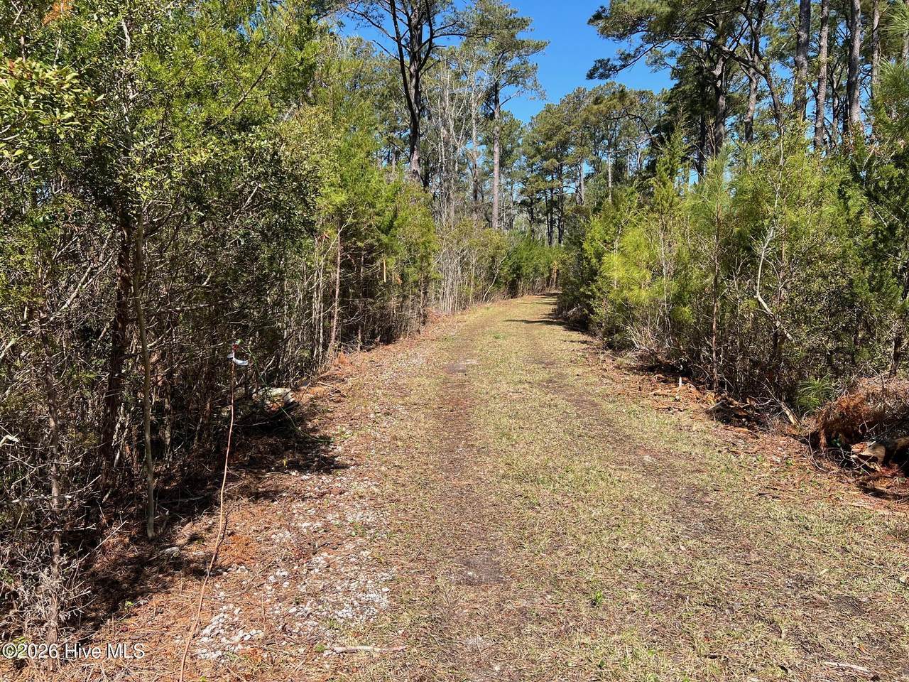 150 Styron Creek Road - Photo 1