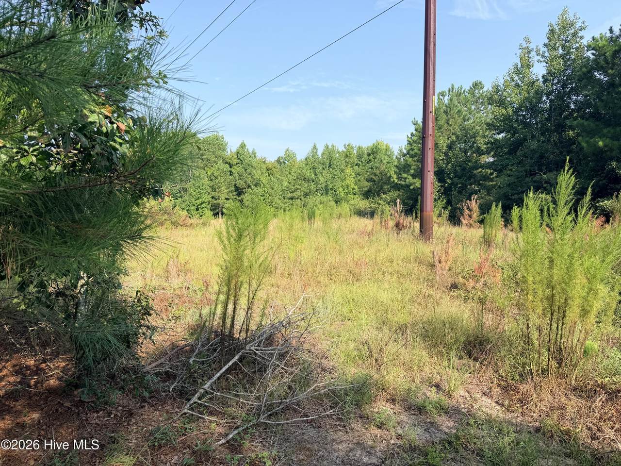 141 Autumn Chase Lane - Photo 1