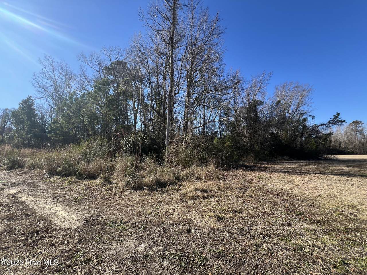 383 Ocean Highway - Photo 1