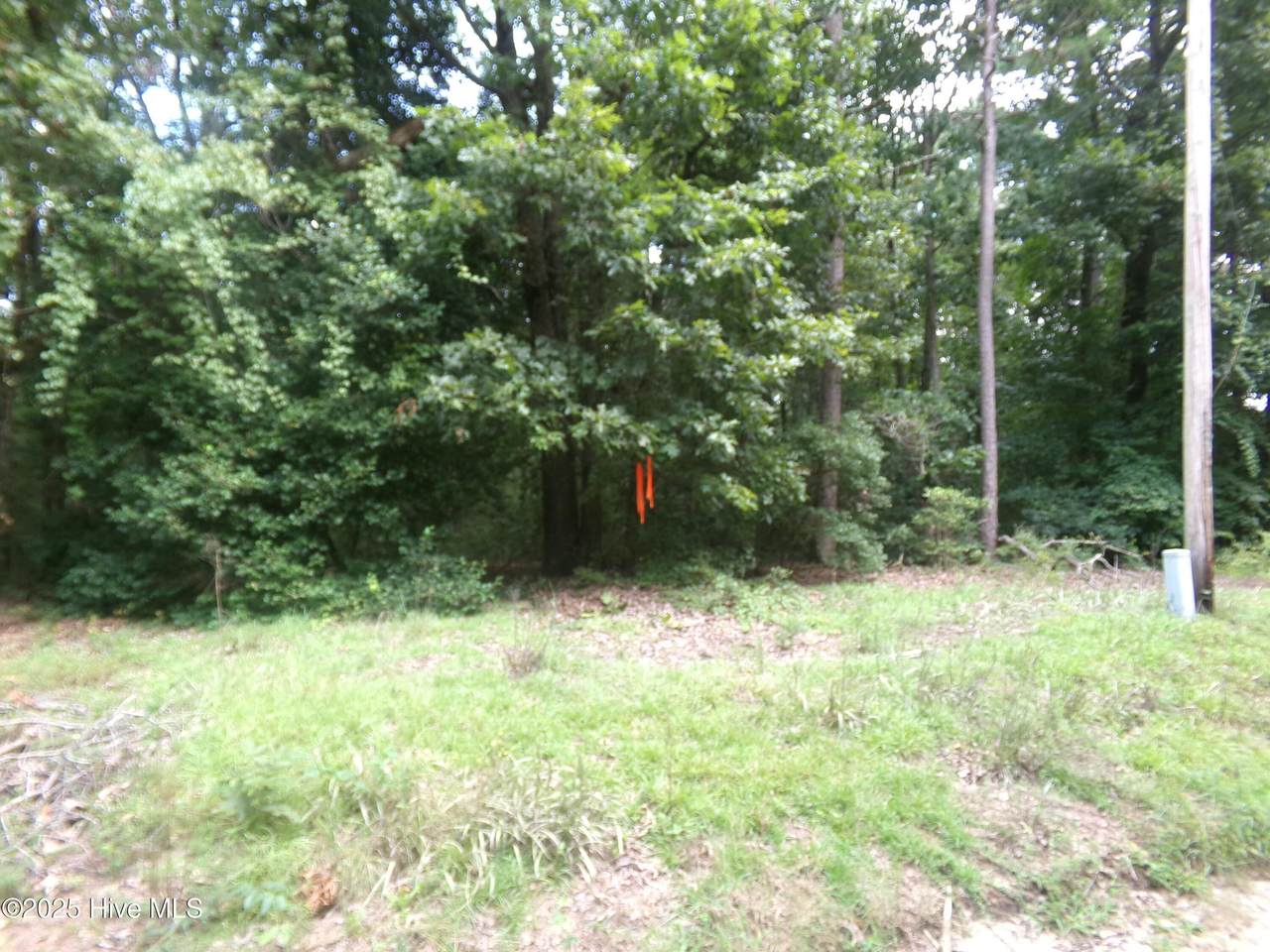 Lot 37 Plantation Road - Photo 1