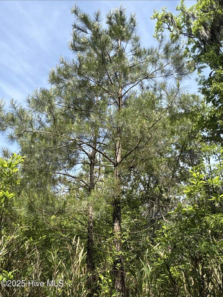 0 Nc 33 Off - Photo 1