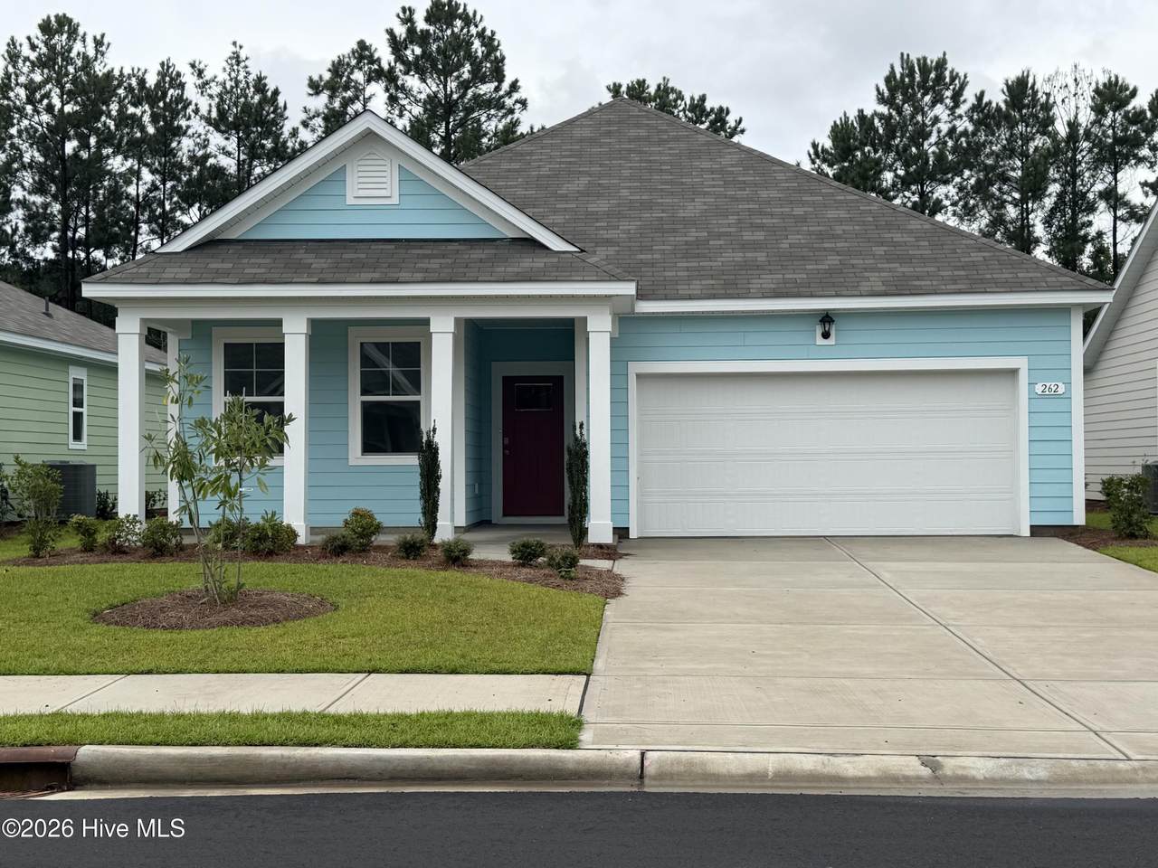 262 Ridley Street - Photo 1