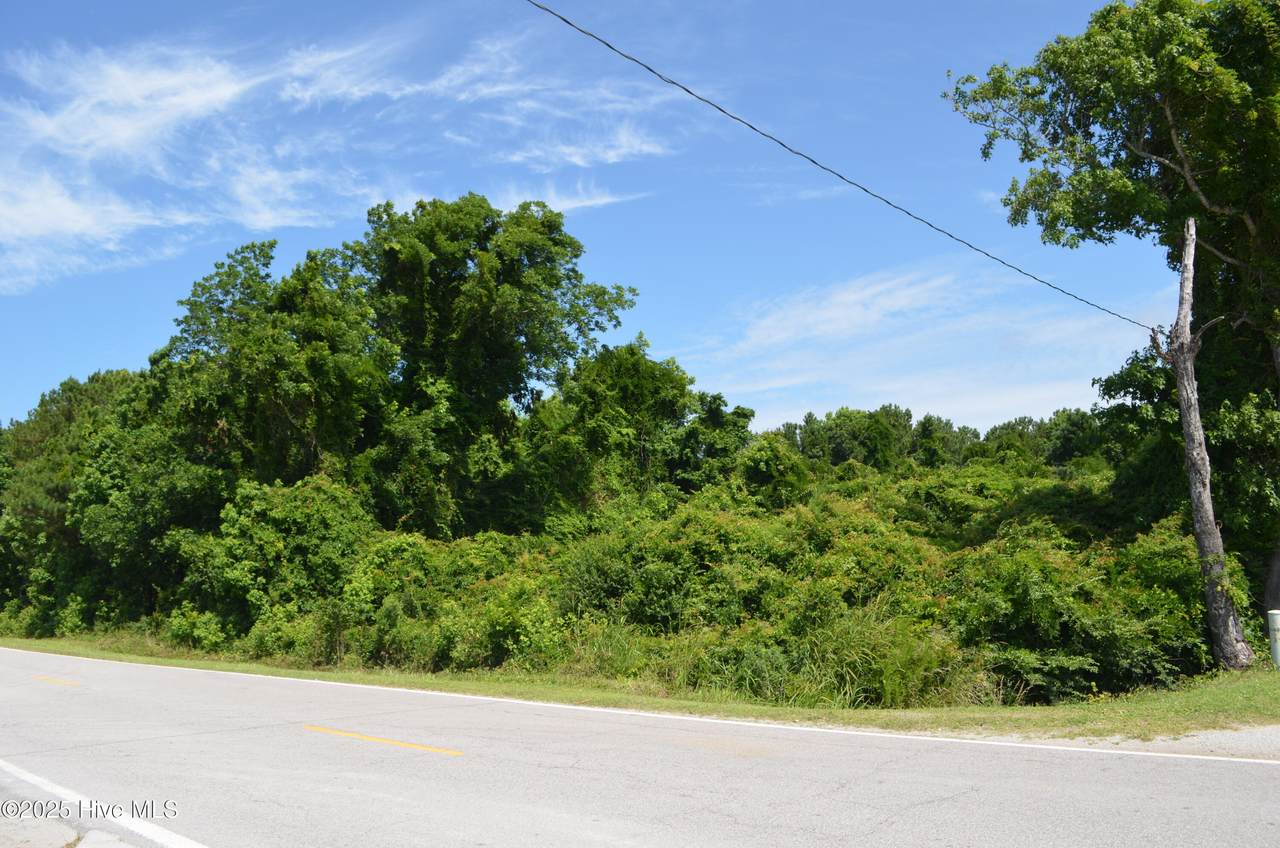258 Laurel Road - Photo 1