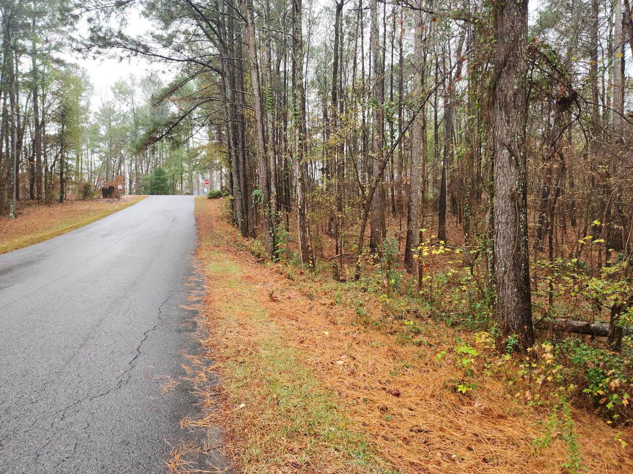 Tbd Springhaven Drive - Photo 1