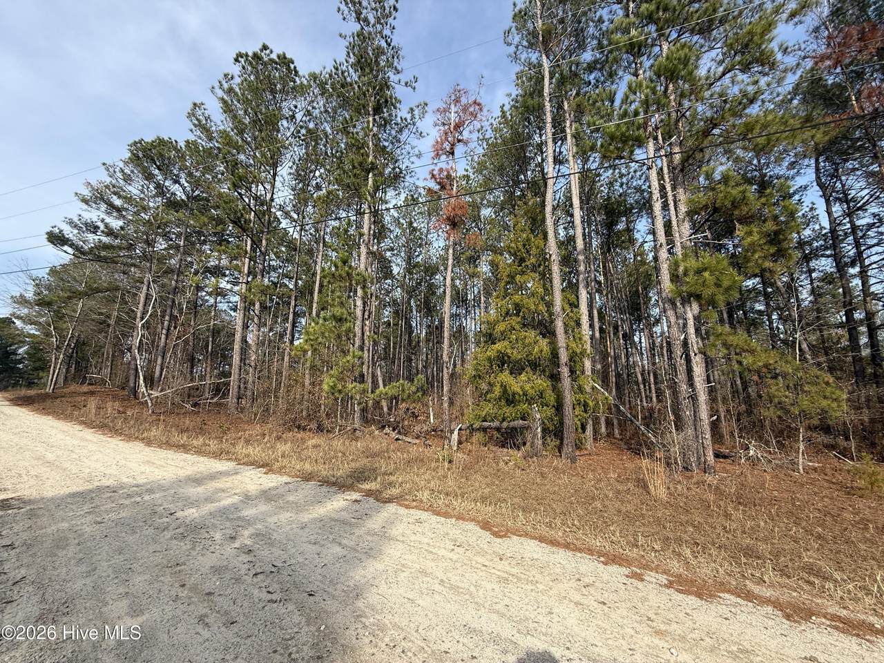 165 Wayne Lane - Photo 1