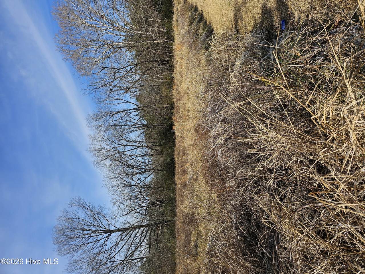 Tbd Main Street - Photo 1