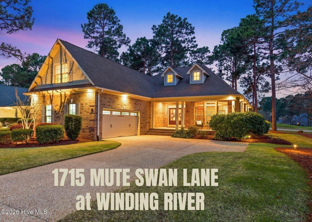 1715 Mute Swan Lane - Photo 1