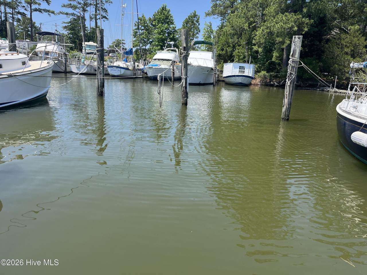 415 Whittaker Point Road - Photo 1