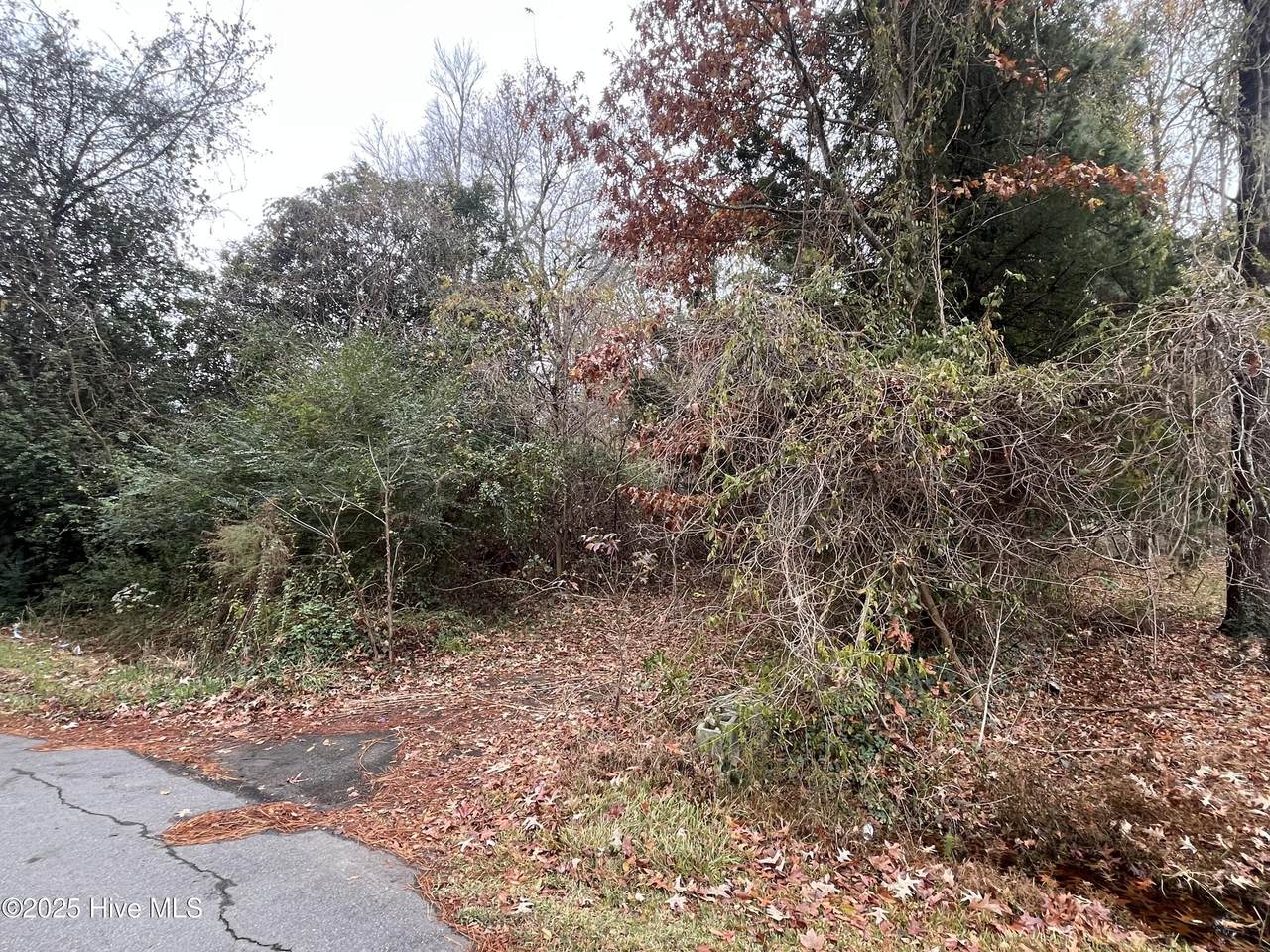 140 Magnolia Drive - Photo 1