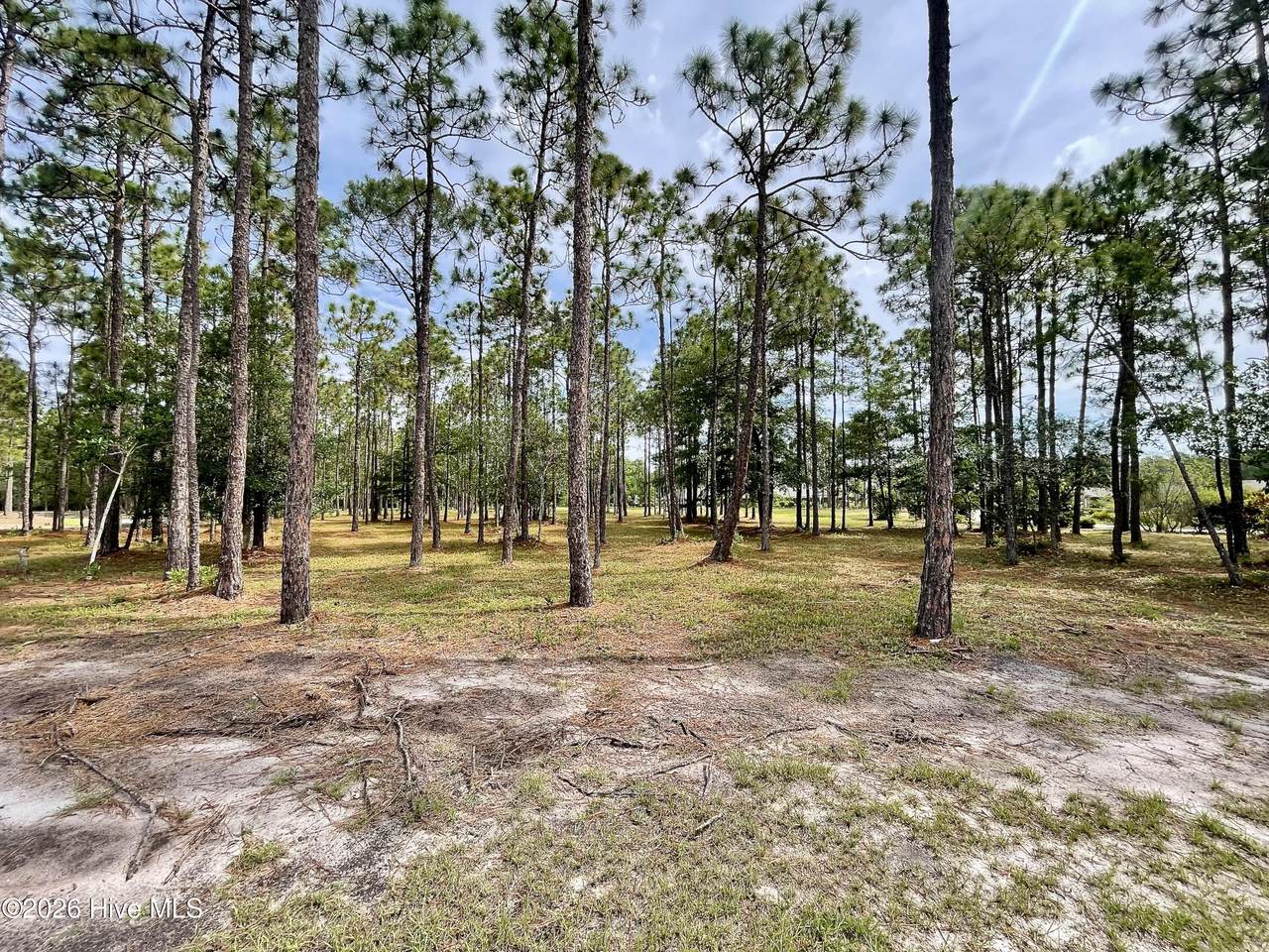 6804 Beckman Circle - Photo 1